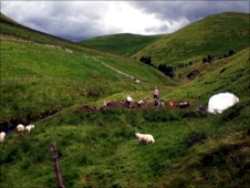 Arachaeology site in the glorious hills of Coquetdale