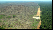 Floresta Amazônica