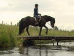 Horse rider crossing bridge