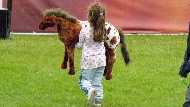 Most young girls want to own a pony but this horse lover will have to do with a cuddly version in the meantime.
