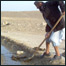 جوی پاکی وخطر ماين