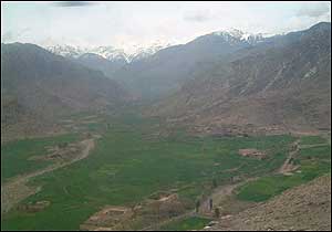 ی