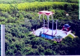 The India square in Aracruz city and the eucalyptus