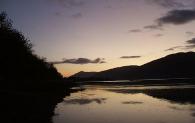 Cool, calm, collected