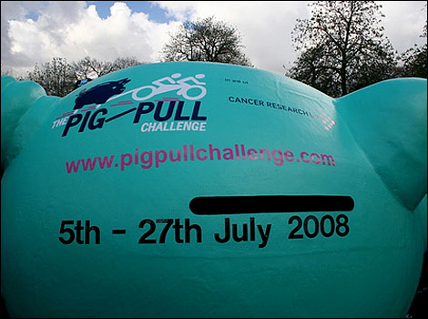 Pig Pull Challenge 2008