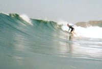 Son, lining up for a lip bash