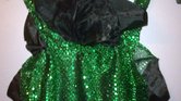 Dance Costume...