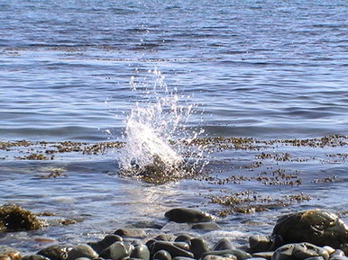 Her heart sank to the bottom of the ocean...