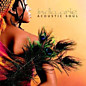 Review of Acoustic Soul Review of Acoustic Soul
