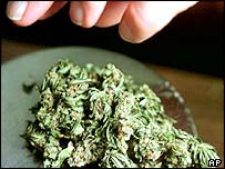 Možnosti využití lékařského konopí zkoumá řada zemí