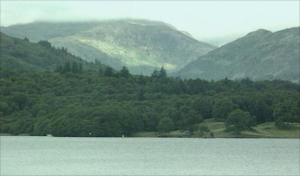 Woodland in the Lake District