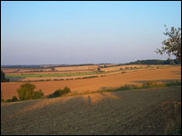 Cotswold field in the summer