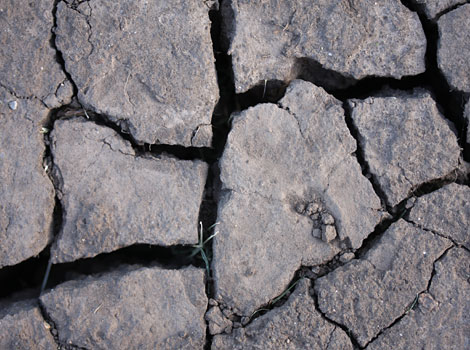 Dry, cracked earth