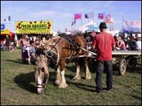 Sunrise Celebration Festival