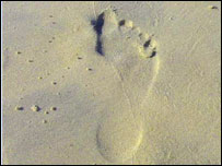 Footprint in sand.