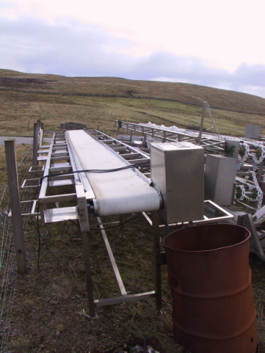 Damadcoo thowt a circular conveyer belt may be an improvement. 