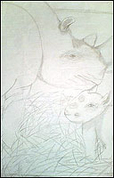 Drawing by Clare, 11, from Market Harborough