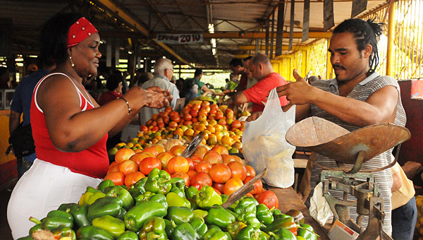 Mercado agropecuario de La Habana. (Foto: Raquel Pérez) 