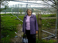 Hazel at the development