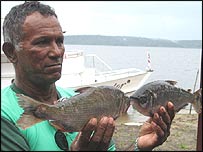 اولاوو دی سانتا