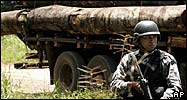 Soldier stands guard in front of a truck loaded with illegal logs in Para