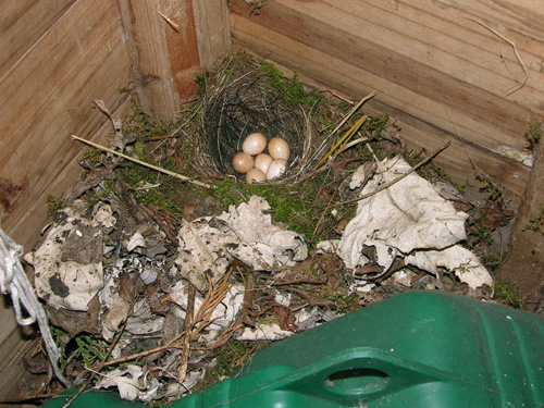 Unusual locations © Richard Castell