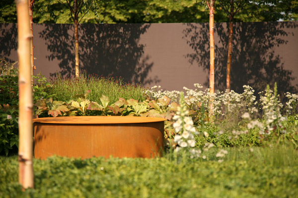 Photo: Metal seating with Rodgersia podophylla - Rodgers' bronze-leaf and Sanguisorba officinalis 'Red Thunder' behind.