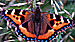 Click to enlarge