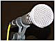 Microphone