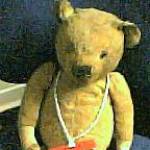 Bobby Bear in the comfort of his present home.