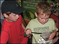 Two boys pond-dipping
