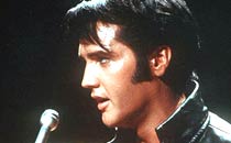 Elvis