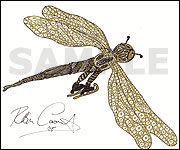 Robin Cousins' sketch