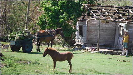 Campo (Foto: Raquel Pérez)