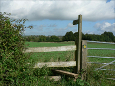 Countryside