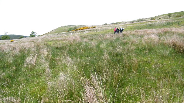 "Heading into the moors of Glen More. Thankfully we were guided through the tussocks by green poles. Kind of grass green. Kind of camouflaged."