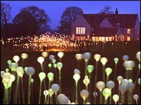 Field of Light
