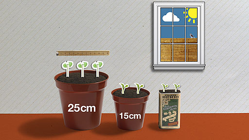 A line of pots showing different sizes that can be used.