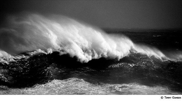 Photo by Timmy Gambin