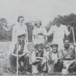 Village housewives worked on the land alongside the men - this group was snapped while hoeing a field of beans