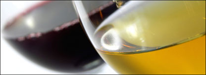 Two glasses of wine