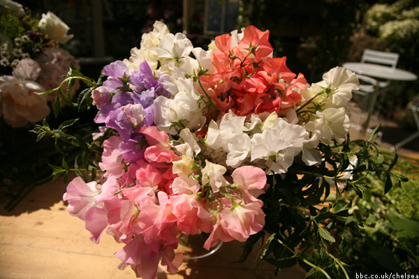 Chelsea Flower Show 2011