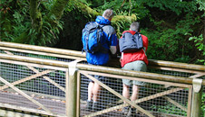 Dologau Bridge