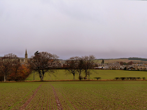 Colour view across fields to the village of Gavinton.
