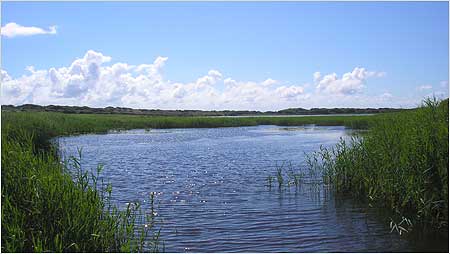 Kenfig Reserve c/o Bridgend Tourism