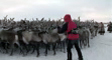 nenets's video screenshot thumbnail