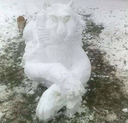 Snow Cat