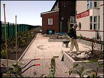 The garden on 28 June