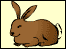 Bunny graphic