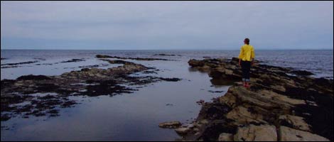 Watchet (sent in by Darren Olley)